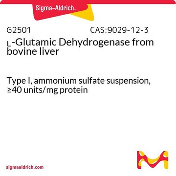 L-グルタミン酸デヒドロゲナーゼ ウシ肝臓由来 Type I, ammonium sulfate suspension, &#8805;40&#160;units/mg protein