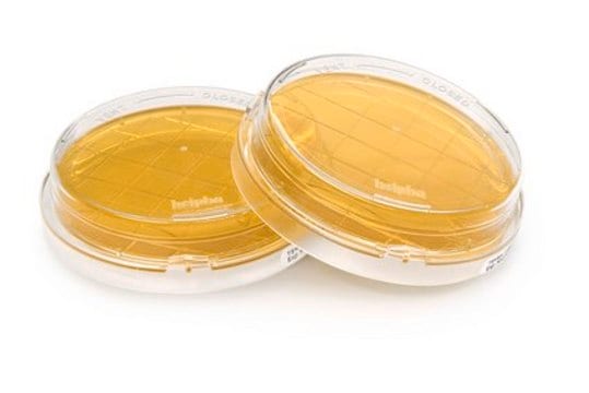 Agar de triptona y soja Tween&#174;, Sodium Thiosulfate, Lecithin, Histidine, lid, ICR Plus: lockable, plate diam. 55&#160;mm, sterile; irradiated, triple packed of 10&#160;plates, suitable for surface monitoring