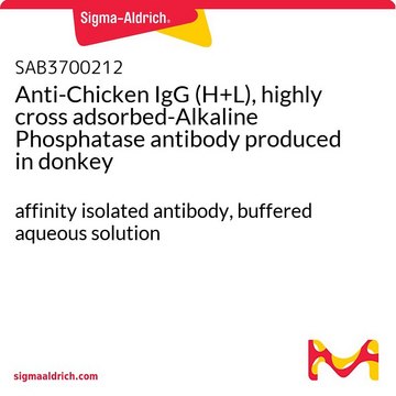 Anti-Chicken IgG (H+L), highly cross adsorbed-Alkaline Phosphatase antibody produced in donkey affinity isolated antibody, buffered aqueous solution