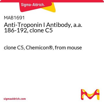 Anticorps anti-troponine&nbsp;I, a.a.&nbsp;186-192, clone&nbsp;C5 clone C5, Chemicon&#174;, from mouse