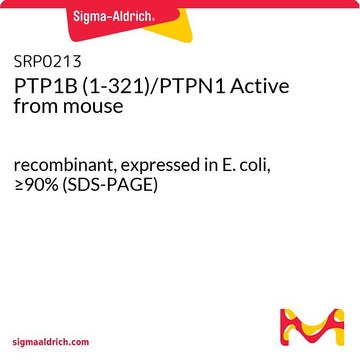 PTP1B (1-321)/PTPN1 Active from mouse recombinant, expressed in E. coli, &#8805;90% (SDS-PAGE)