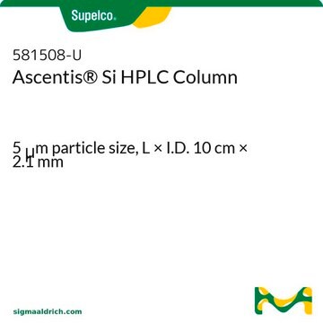 Colonne&nbsp;HPLC Ascentis&#174;&nbsp;Si 5&#160;&#956;m particle size, L × I.D. 10&#160;cm × 2.1&#160;mm