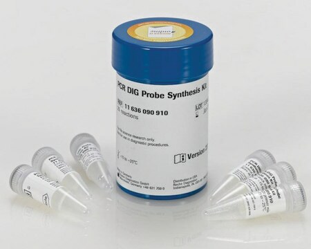 Kit de síntesis de sonda DIG para PCR sufficient for 25&#160;reaction (50 &#956;L final reaction volume)