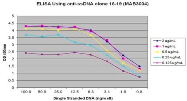 抗DNA抗体、一本鎖、クローン16-19 clone 16-19, Chemicon&#174;, from mouse