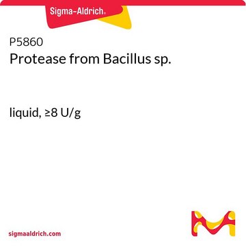 Protease aus Bacillus sp. liquid, &#8805;8&#160;U/g