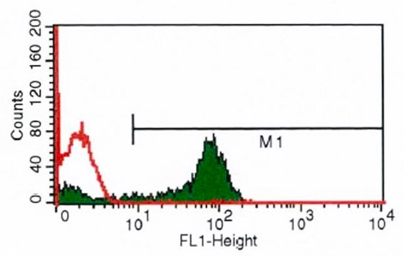 Monoklonalny anty-CD3-FITC clone UCHT-1, purified immunoglobulin, buffered aqueous solution