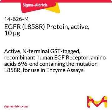 Białko EGFR (L858R), aktywne, 10 µg Active, N-terminal GST-tagged, recombinant human EGF Receptor, amino acids 696-end containing the mutation L858R, for use in Enzyme Assays.