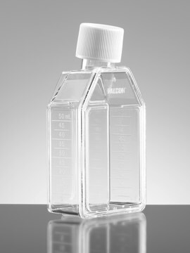 Corning&#174; Falcon&#174; Cell Culture Flask capacity 150&#160;mL, canted neck, graduated, 25 &#8209; 325&#160;mL, cap, blue vented