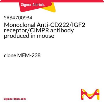 Monoclonal Anti-CD222/IGF2 receptor/CIMPR antibody produced in mouse clone MEM-238