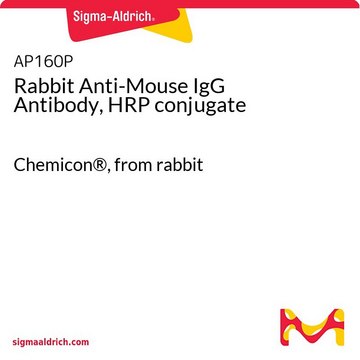 Anti-Maus-IgG-Antikörper des Kaninchens, HRP-Konjugat Chemicon&#174;, from rabbit