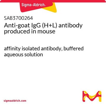 Anti-goat IgG (H+L) antibody produced in mouse affinity isolated antibody, buffered aqueous solution