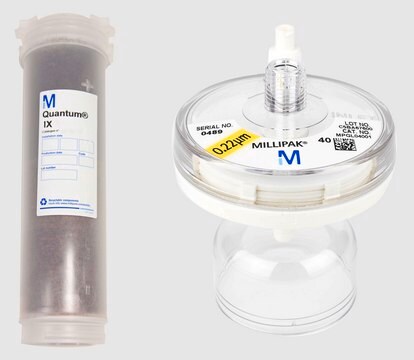 Kit: Cartucho Quantum&#174; EX y Millipak&#174; Kit with Millipak&#174; 40 Express Filter, For use with Milli-Q&#174; water purification systems.