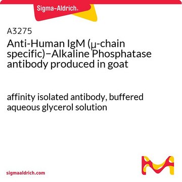 抗ヒトIgM (&#956;-鎖特異的)&#8722;アルカリフォスファターゼ ヤギ宿主抗体 affinity isolated antibody, buffered aqueous glycerol solution