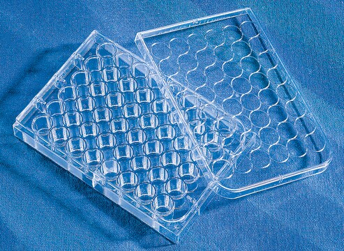 Corning&#174; CellBIND&#174; Multiple Well Plate size 48&#160;wells, flat clear bottom, sterile, lid