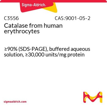 Catalase from human erythrocytes &#8805;90% (SDS-PAGE), buffered aqueous solution, &#8805;30,000&#160;units/mg protein