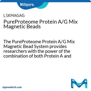 PureProteome蛋白A/G混合磁珠 The PureProteome Protein A/G Mix Magnetic Bead System provides researchers with the power of the combination of both Protein A and Protein G immunoglobulin binding affinities in one convenient magnetic bead product.