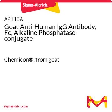 Goat Anti-Human IgG Antibody, Fc, Alkaline Phosphatase conjugate Chemicon&#174;, from goat