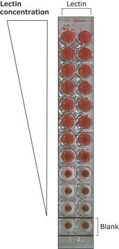 レクチン ハリエニシダ(Ulex europaeus)由来 peroxidase conjugate, lyophilized powder