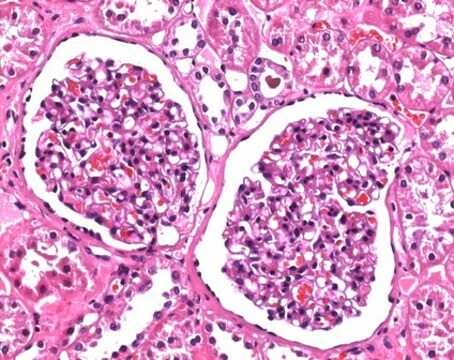 Soluzione di formaldeide 4%, tampone, pH 6,9 (approx. 10% Formalin solution) for histology