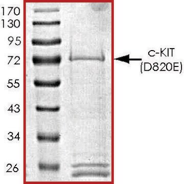 c-KIT (D820E), active, GST tagged human PRECISIO&#174;, recombinant, expressed in baculovirus infected Sf9 cells, &#8805;70% (SDS-PAGE), buffered aqueous glycerol solution