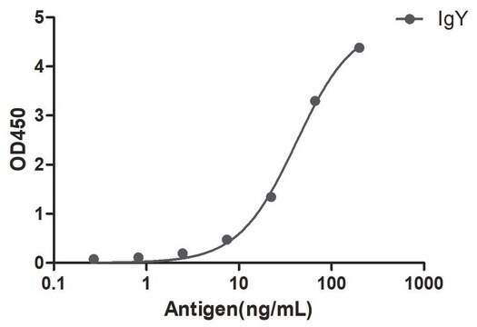 Goat Anti-Chicken IgY Alpaca Heavy chain only Antibody recombinant Alpaca(VHH) Nano antibody