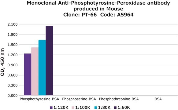 Monoclonal Anti-Phosphotyrosine–Peroxidase antibody produced in mouse clone PT-66, purified immunoglobulin, lyophilized powder