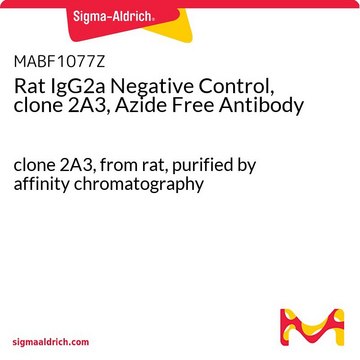 Rat IgG2a Negative Control, clone 2A3, Azide Free Antibody clone 2A3, from rat, purified by affinity chromatography