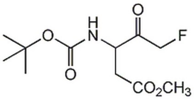 Caspase-Inhibitor&nbsp;III The Caspase Inhibitor III, also referenced under CAS 634911-80-1, controls the biological activity of Caspase. This small molecule/inhibitor is primarily used for Cancer applications.