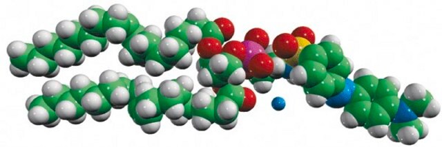 18:1 Dabsyl PE Avanti Polar Lipids 810509P, powder