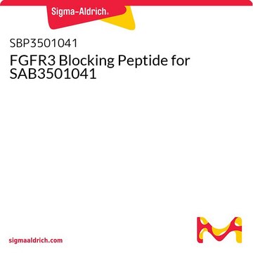 FGFR3 Blocking Peptide for SAB3501041