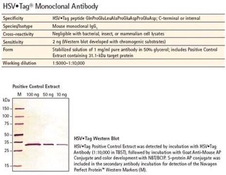 HSV-Tag&#174; Przeciwciało monoklonalne Novagen&#174;, from mouse