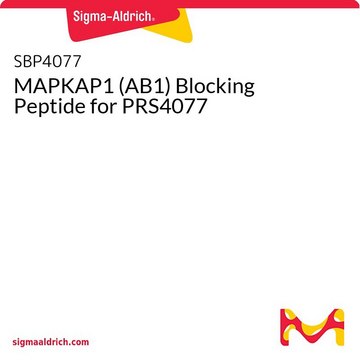 MAPKAP1 (AB1) Blocking Peptide for PRS4077