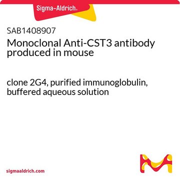 Monoclonal Anti-CST3 antibody produced in mouse clone 2G4, purified immunoglobulin, buffered aqueous solution