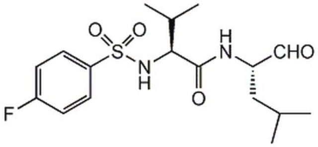 Calpain-Inhibitor&nbsp;VI The Calpain Inhibitor VI, also referenced under CAS 190274-53-4, controls the biological activity of Calpain. This small molecule/inhibitor is primarily used for Protease Inhibitors applications.