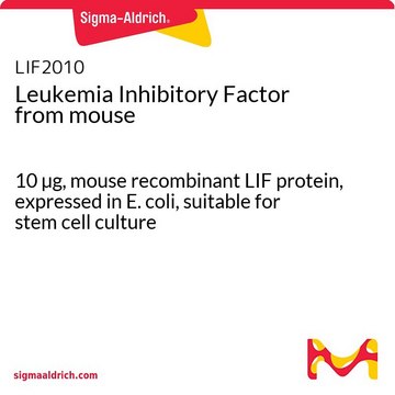 マウス由来白血病抑制因子 10 &#181;g, mouse recombinant LIF protein, expressed in E. coli, suitable for stem cell culture