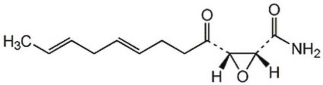 浅蓝菌素， 来源于头孢霉 An antifungal antibiotic that inhibits sterol and fatty acid biosynthesis.