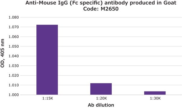 抗マウスIgG (Fc特異的) ヤギ宿主抗体 affinity isolated antibody, buffered aqueous solution