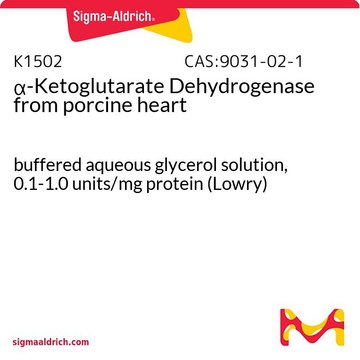 &#945;-ケトグルタル酸デヒドロゲナーゼ ブタ心臓由来 buffered aqueous glycerol solution, 0.1-1.0&#160;units/mg protein (Lowry)