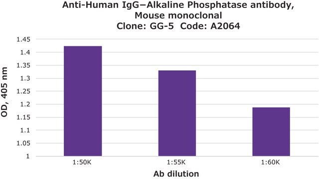 Monoklonaler Anti-Human IgG&#8722;alkalische Phosphatase-Antikörper der Maus clone GG-5, purified from hybridoma cell culture