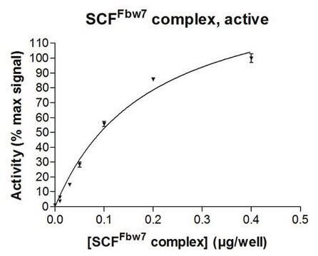 SCF-Fbw7 Protein Complex, Active, 10 &#181;g Active complex of four (4) full length, recombinant human enzymes: Fbw7, Skp1, Cul1 &amp; Rbx1. For use in Enzyme Assays. Functions as an E3 ligase in ubiquitination assays.