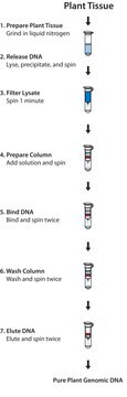 GenElute&#8482; Miniprep-Kit für genomische Pflanzen-DNA sufficient for 10&#160;purifications