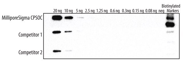 化学发光过氧化物酶底物