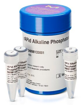 rAPid Alkalische Phosphatase 1&#160;units/&#956;g protein, optimum reaction temp. 37 °C