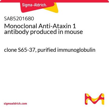 Monoclonal Anti-Ataxin 1 antibody produced in mouse clone S65-37, purified immunoglobulin