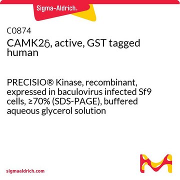 CAMK2&#948;, 活性型, GSTタグ付加 ヒト PRECISIO&#174; Kinase, recombinant, expressed in baculovirus infected Sf9 cells, &#8805;70% (SDS-PAGE), buffered aqueous glycerol solution