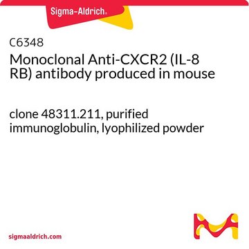 Monoclonal Anti-CXCR2 (IL-8 RB) antibody produced in mouse clone 48311, purified immunoglobulin, lyophilized powder