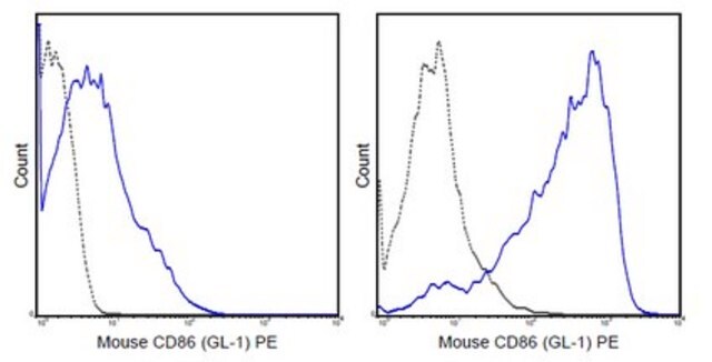 CD86（B7-2）抗体（小鼠），PE，克隆GL-1 clone GL-1 (GL1), 0.2&#160;mg/mL, from rat