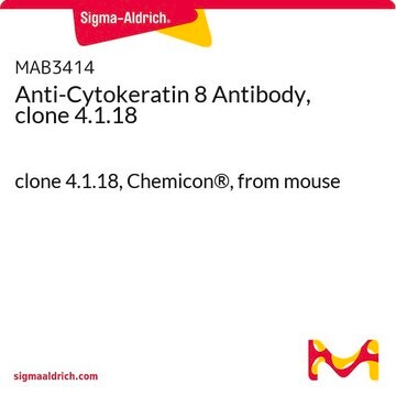 Anti-Cytokeratin 8 Antibody, clone 4.1.18 clone 4.1.18, Chemicon&#174;, from mouse