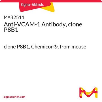 Anti-VCAM-1 Antibody, clone P8B1 clone P8B1, Chemicon&#174;, from mouse