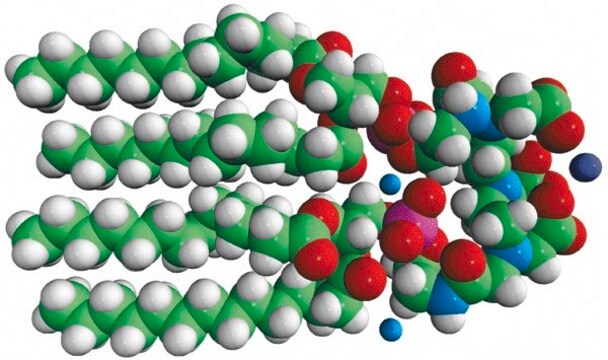 bis(14:0 PE)-DTPA (Gd) Avanti Polar Lipids 791297P, powder